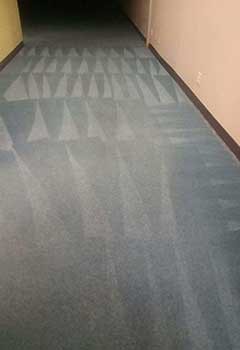 Local Carpet Cleaning Concord