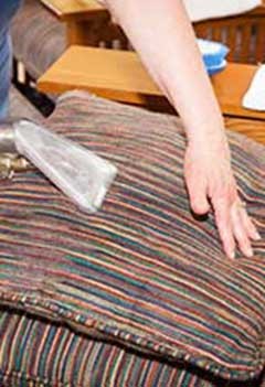 Professional Upholstery Cleaning Clayton