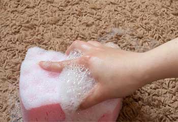 Stain Removal | Carpet Cleaning Concord, CA Stain Removal | Carpet Cleaning Concord, CA