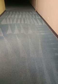 Local Carpet Cleaning Concord