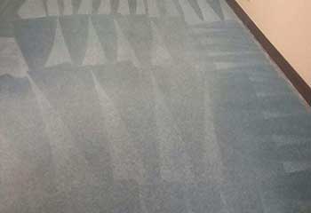 Professional Carpet Cleaner In Concord