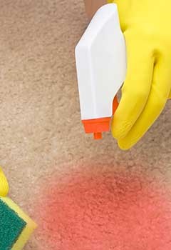 Effective Stain Removal Near Concord